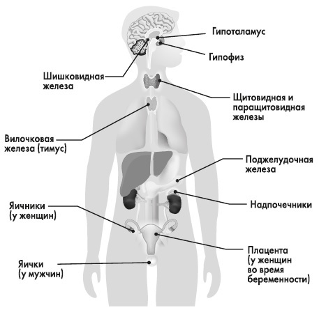 Вся правда о гормонах и не только - i_001.jpg