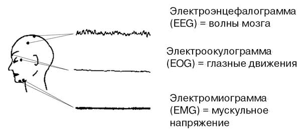 Предсказательные сны - i_001.png