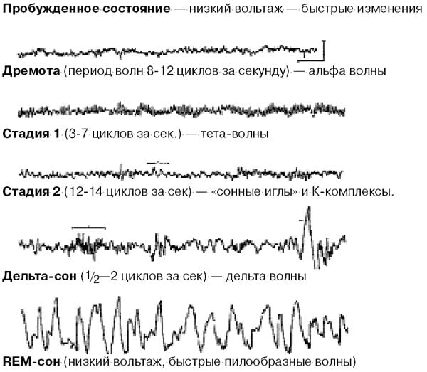 Предсказательные сны - i_002.png