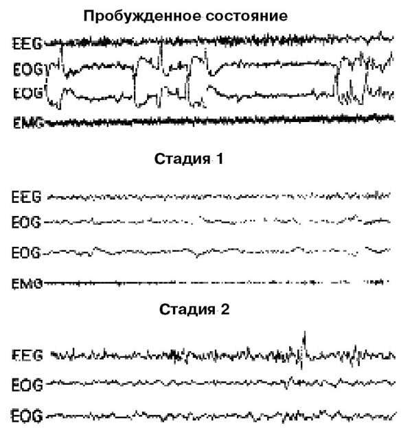 Предсказательные сны - i_003.png