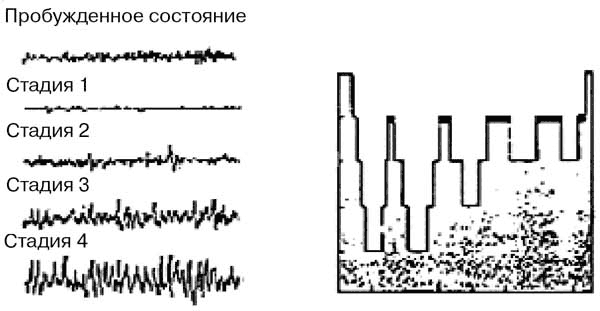 Предсказательные сны - i_005.png