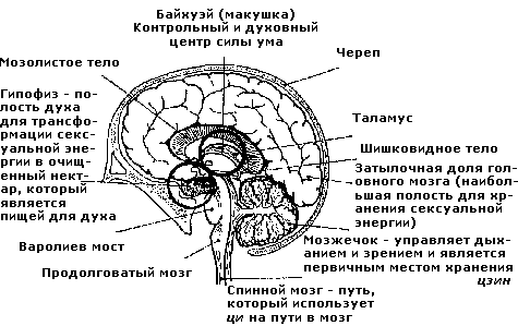 Совершенствование мужской сексуальной энергии - i_008.png