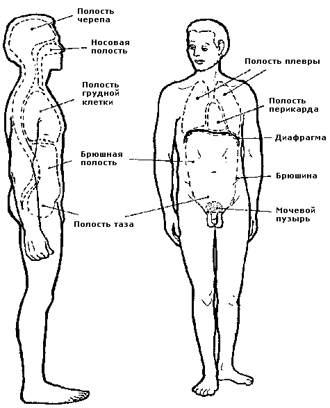 Совершенствование мужской сексуальной энергии - i_009.png