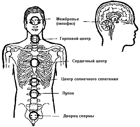 Совершенствование мужской сексуальной энергии - i_025.png