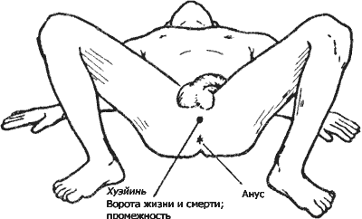 Совершенствование мужской сексуальной энергии - i_042.png