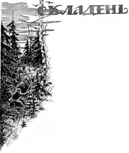 Колдовской цветок. Фантастика Серебряного века. Том IX - i_019.jpg