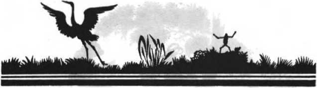 Колдовской цветок. Фантастика Серебряного века. Том IX - i_042.jpg