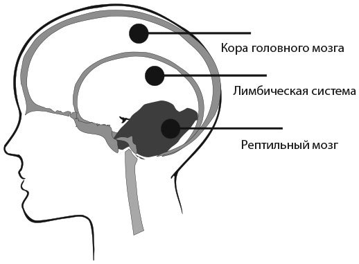 Сила эмоционального интеллекта. Как его развить для работы и жизни - i_007.jpg