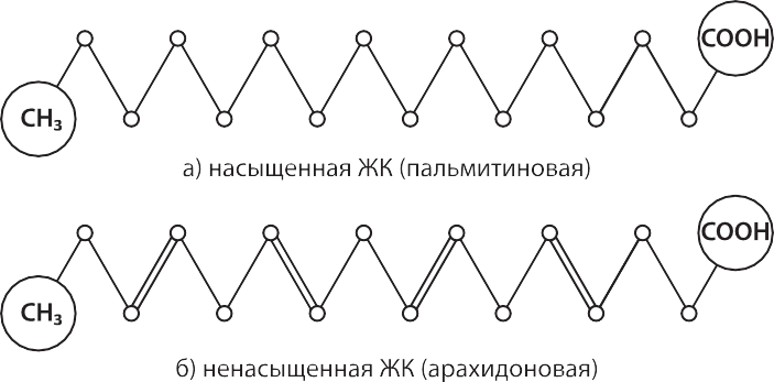 12 Законов стройности - _12.png