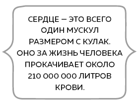 Сердце. Как у тебя дела? - i_007.png