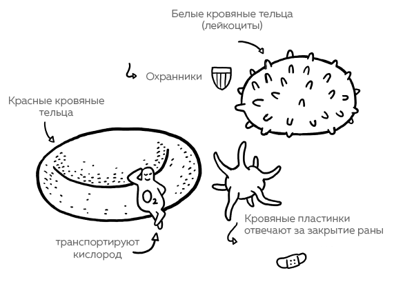 Сердце. Как у тебя дела? - i_008.png