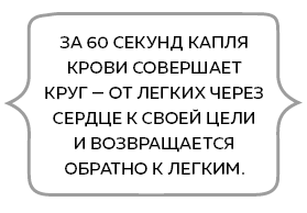 Сердце. Как у тебя дела? - i_009.png