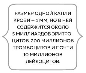 Сердце. Как у тебя дела? - i_010.png