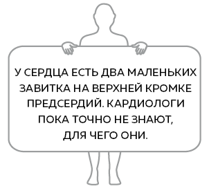 Сердце. Как у тебя дела? - i_018.png