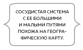 Сердце. Как у тебя дела? - i_024.png