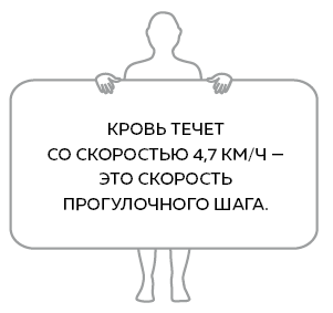 Сердце. Как у тебя дела? - i_025.png