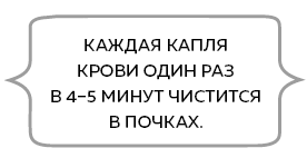 Сердце. Как у тебя дела? - i_028.png