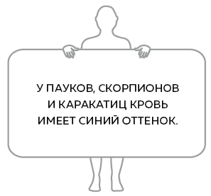 Сердце. Как у тебя дела? - i_029.png