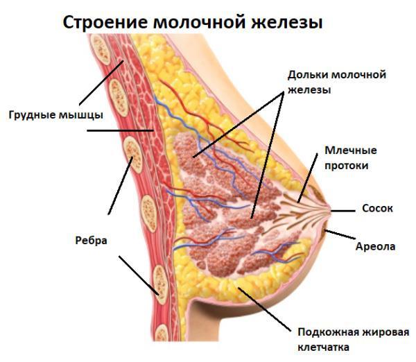 Увеличение груди - i_001.jpg