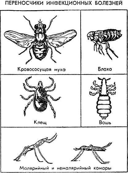 Как действовать в условиях применения ядерного, химического и бактериологического оружия<br />(Пособие солдату и матросу) - i_025.jpg