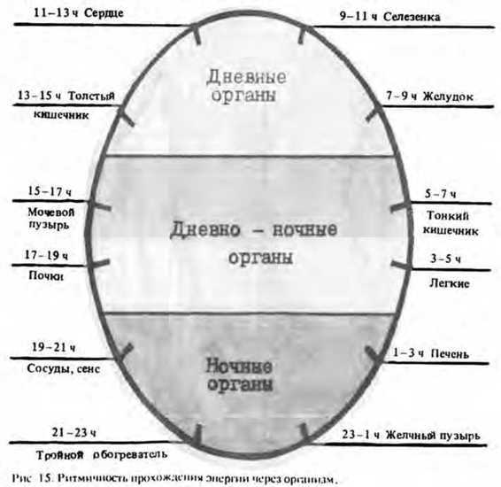 Спутник экстрасенса - _15.jpg