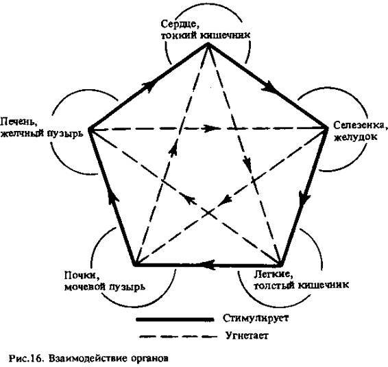 Спутник экстрасенса - _16.jpg