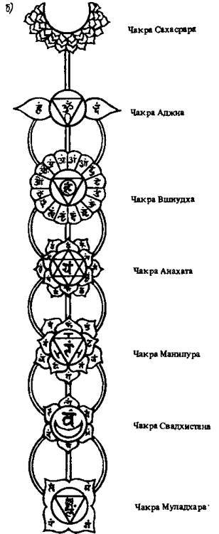 Спутник экстрасенса - _18.jpg