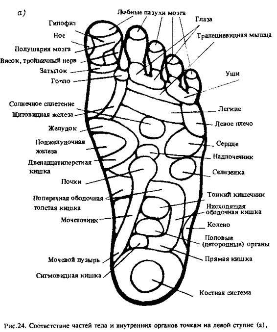 Спутник экстрасенса - _21.jpg