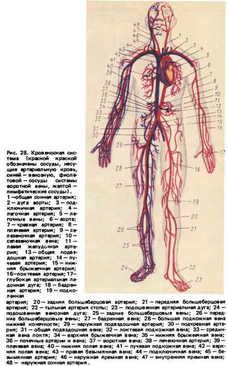 Спутник экстрасенса - _26.jpg