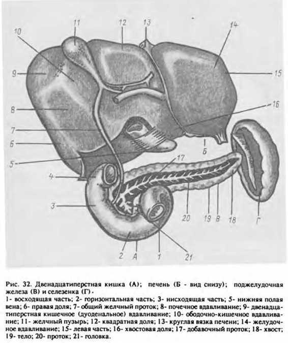 Спутник экстрасенса - _31.jpg