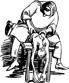 Четвертый позвонок, или мошенник поневоле (с иллюстрациями) - _07.png