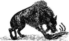 Ледниковый человек<br />(В дали времен. Том IV) - i_025.jpg