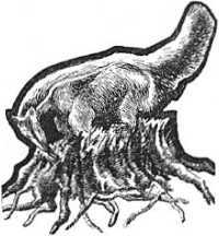 Ледниковый человек<br />(В дали времен. Том IV) - i_030.jpg