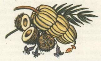 Капитан Крузенштерн - any2fbimgloader10.jpeg