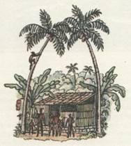 Капитан Крузенштерн - any2fbimgloader18.jpeg