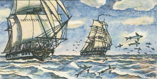 Капитан Крузенштерн - any2fbimgloader21.jpeg