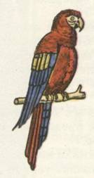 Капитан Крузенштерн - any2fbimgloader8.jpeg