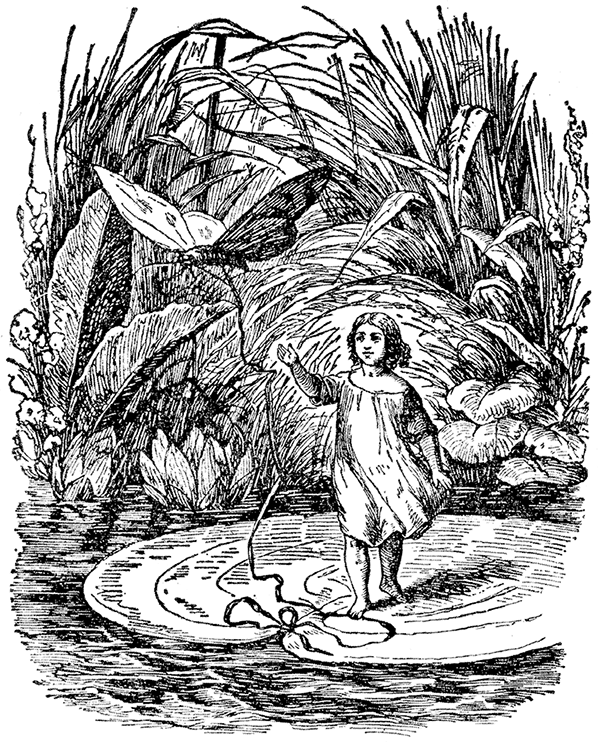 Все сказки Ганса Христиана Андерсена - i_019.png