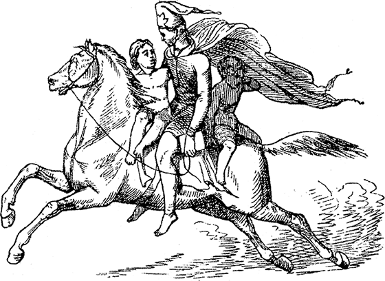 Все сказки Ганса Христиана Андерсена - i_053.png