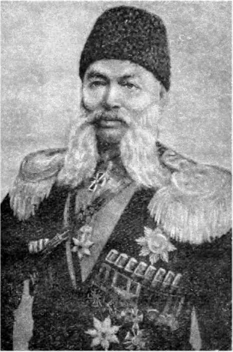 На войне Дунайской<br />(Документальная повесть) - i_005.jpg