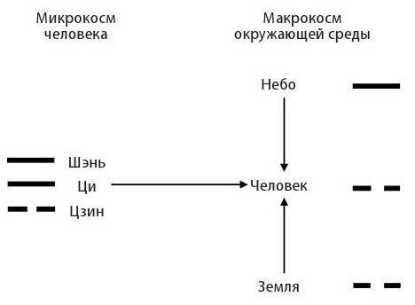 Нэйгун. Работа с энергетическим телом. Теория и практика древнего китайского искусства - i_003.jpg