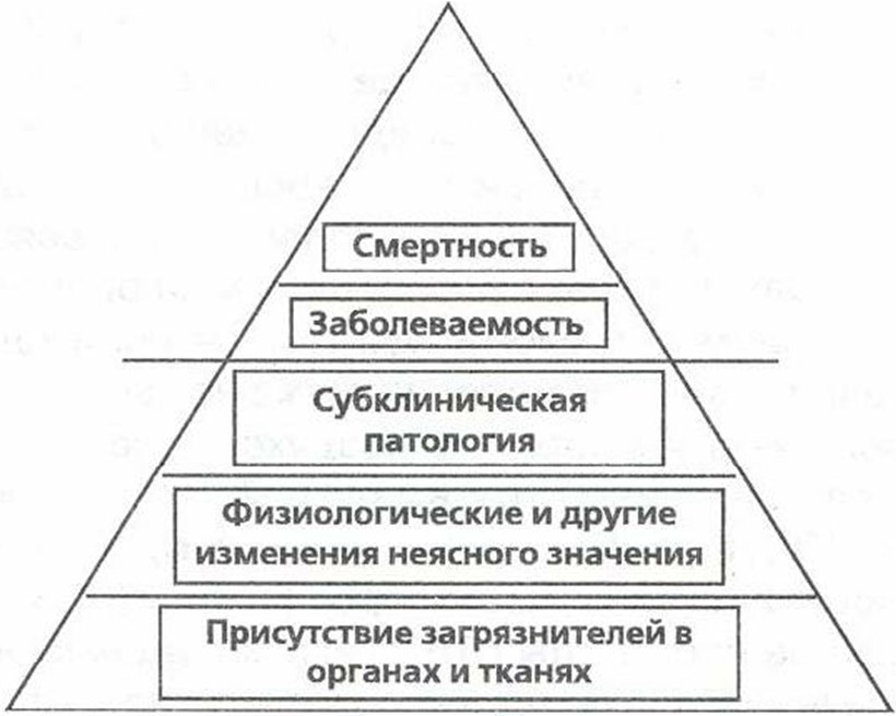 Медико-биологические основы безопасности - b00000083.jpg