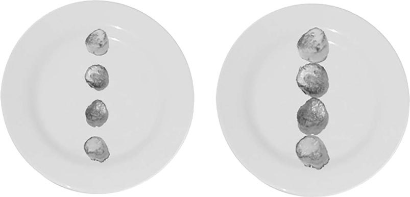 Гастрофизика. Новая наука о питании - i_004.jpg