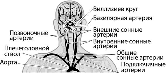 Не дай голове расколоться! Упражнения, которые возвращают жизнь без головной боли - i_008.jpg