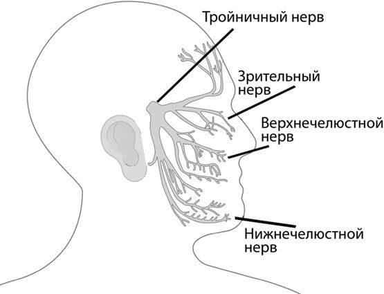 Не дай голове расколоться! Упражнения, которые возвращают жизнь без головной боли - i_009.jpg