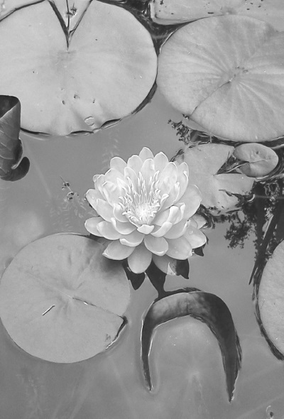 Познавая Истину. Избранное - i_004.jpg