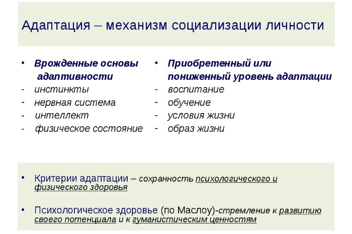 Социальная адаптация молодых специалистов в системе общего образования в период становления цифровой экономики - i_001.jpg