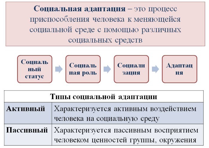 Социальная адаптация молодых специалистов в системе общего образования в период становления цифровой экономики - i_002.jpg