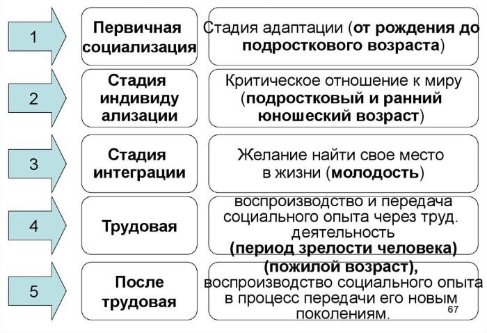 Социальная адаптация молодых специалистов в системе общего образования в период становления цифровой экономики - i_004.jpg