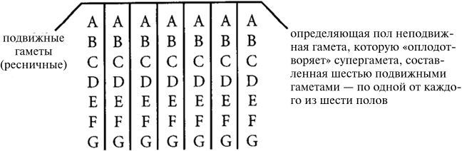 Непристойные предложения - i_001.jpg